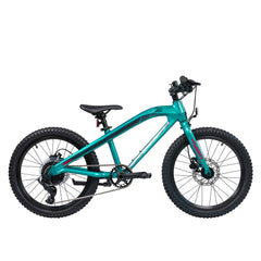 Kinderfahrrad - S'COOL Xroc TWENTY 20 Zoll 8-Gang