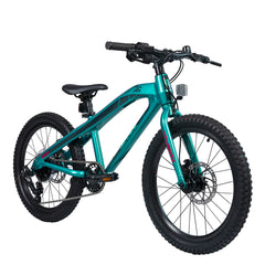 Kinderfahrrad - S'COOL Xroc TWENTY 20 Zoll 8-Gang